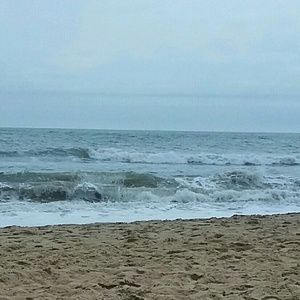 Meet your Posher, Jane